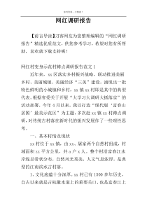 网红调研报告