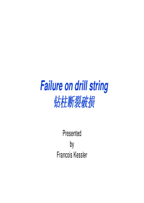 on_drill_string_EN_&amp;_CN_[Compatibili