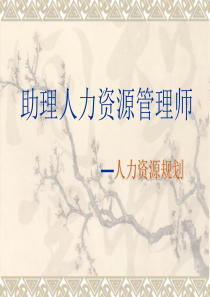 人力资源管理师人力资源规划