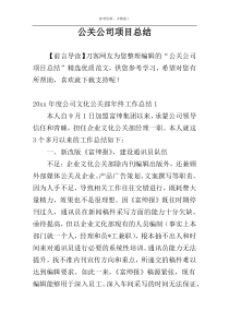 公关公司项目总结