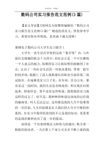 数码公司实习报告范文范例(3篇)