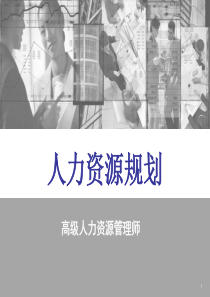 人力资源规划(高级新版)