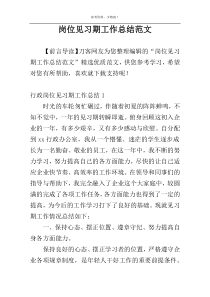 岗位见习期工作总结范文