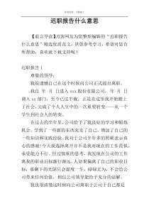 迟职报告什么意思