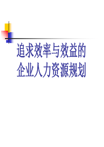 企业人力资源规划(王仕举)