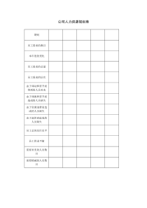 公司人力资源规划表