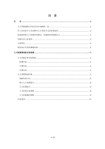 企业人力资源实施规划