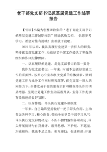 老干部党支部书记抓基层党建工作述职报告