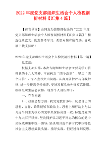 党支部组织生活会个人检视剖析材料2022年度【汇集4篇】