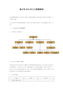 某公司XXXX年人力资源规划