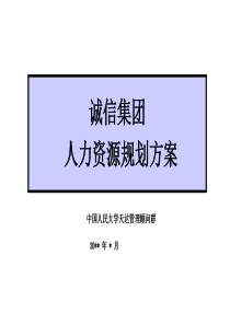 某集团人力资源规划方案