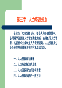 根据组织人力资源规划