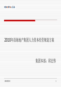 沿海地产集团人力资本经营规划方案_91页_XXXX年