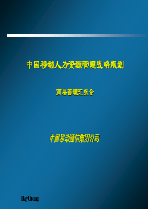 海氏为中移动做的人力资源规划(3)