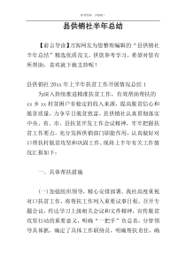 县供销社半年总结