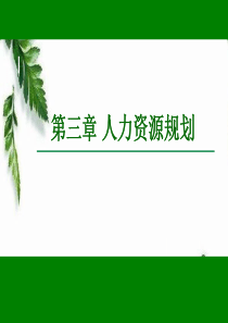 第03章人力资源规划