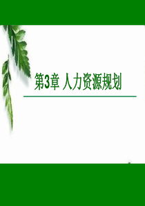 第03章人力资源规划_2