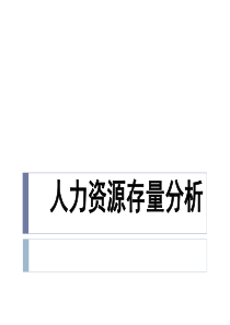 第六讲人力资源规划存量分析