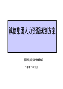 诚信房地产集团人力资源规划方案(PPT 91页)