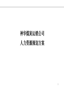 运销公司人力资源规划方案[1]