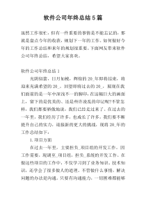 软件公司年终总结5篇