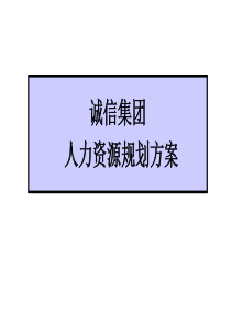 集团人力资源规划方案