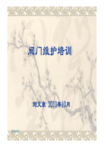 08.阀门维护培训（PDF38页）