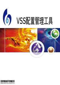 0_工具培训_-_VSS使用教程