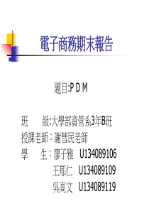 PDM报告(2)