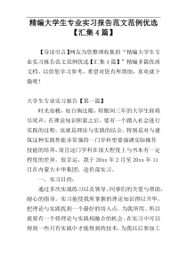 精编大学生专业实习报告范文范例优选【汇集4篇】