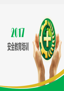 2017安全教育培训