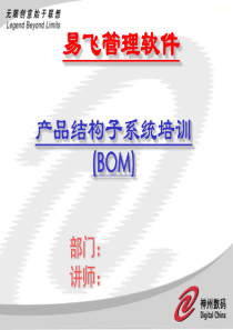 BOM培训幻灯片