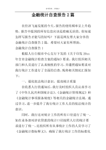 金融统计自查报告2篇