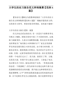 大学生的实习报告范文样例集聚【范例4篇】