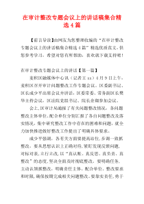 在审计整改专题会议上的讲话稿集合精选4篇