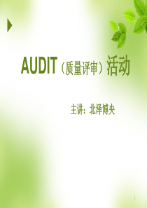 AUDIT培训