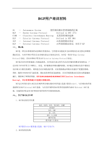 BGP用户培训材料(1)