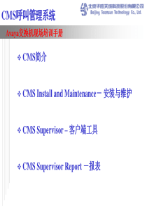 Avaya_CMS_培训