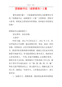 团委副书记（述职报告）2篇