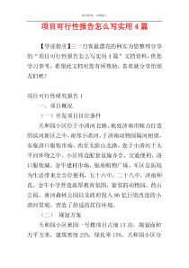 项目可行性报告怎么写实用4篇