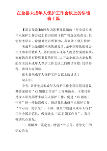 在全县未成年人保护工作会议上的讲话稿4篇