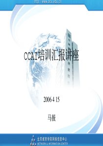 CCAI培训汇报讲座