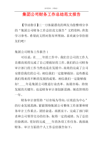 集团公司财务工作总结范文报告