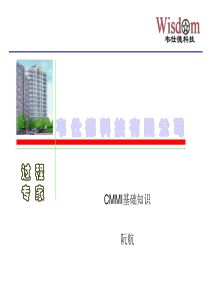 CMMI基础培训