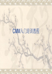 CMM入门培训材料