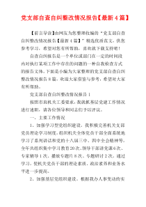 党支部自查自纠整改情况报告【最新4篇】