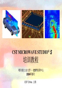 CSTMICROWAVESTUDIO培训教程