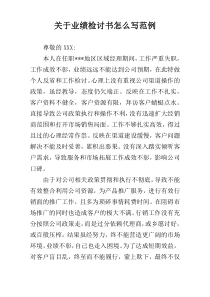 关于业绩检讨书怎么写范例