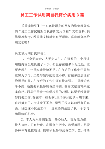 员工工作试用期自我评价实用3篇