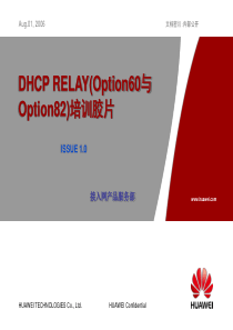 DHCP RELAY(Option60与Option82)培训胶片